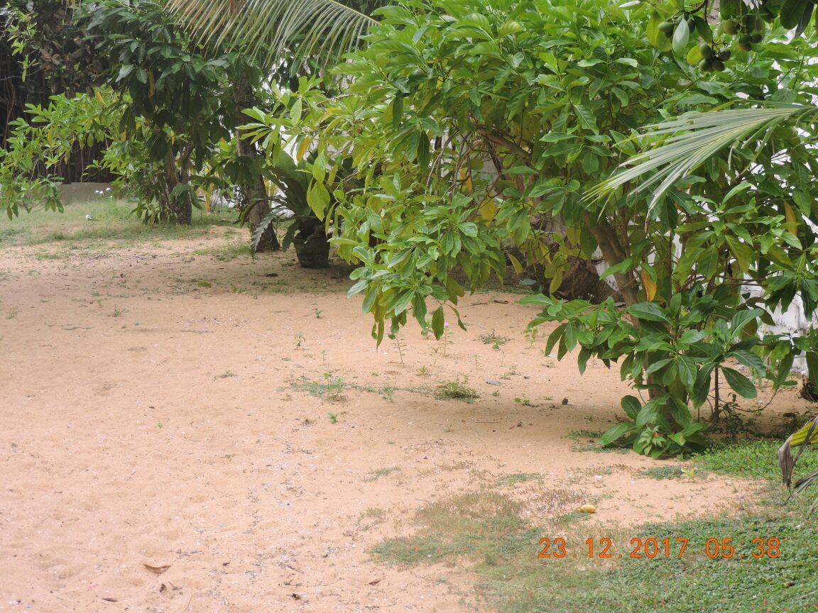 Akain Villa Dodanduwa Exterior photo