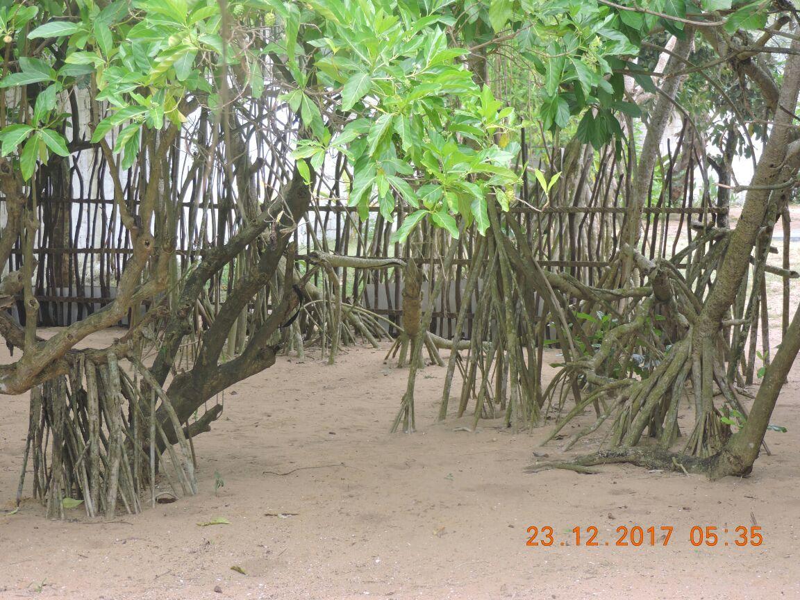 Akain Villa Dodanduwa Exterior photo